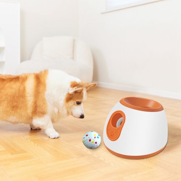 indoor-dog-training-automatic-ball-launcher
