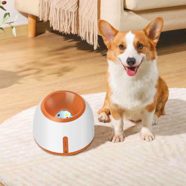 dog-playing-with-interactive-ball-launcher-outdoor