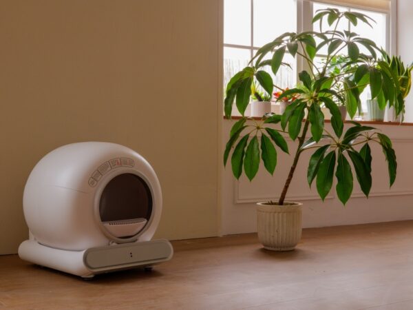 multi-cat-self-cleaning-litter-box
