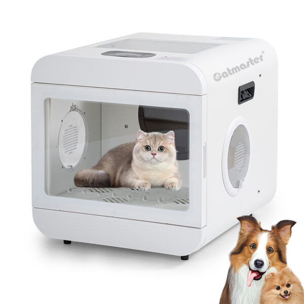 pet-in-drying-box