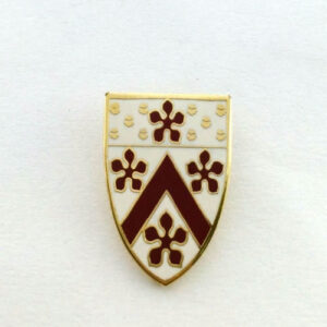 Custom Shield Enamel Lapel Pins – Premium Quality for Your Brand