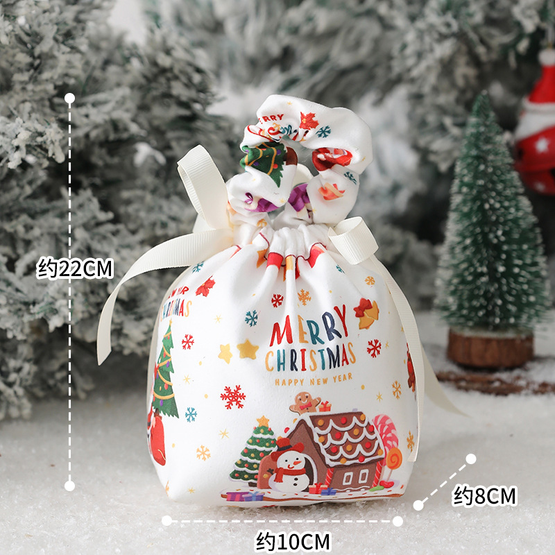 christmas-apple-gift-bag